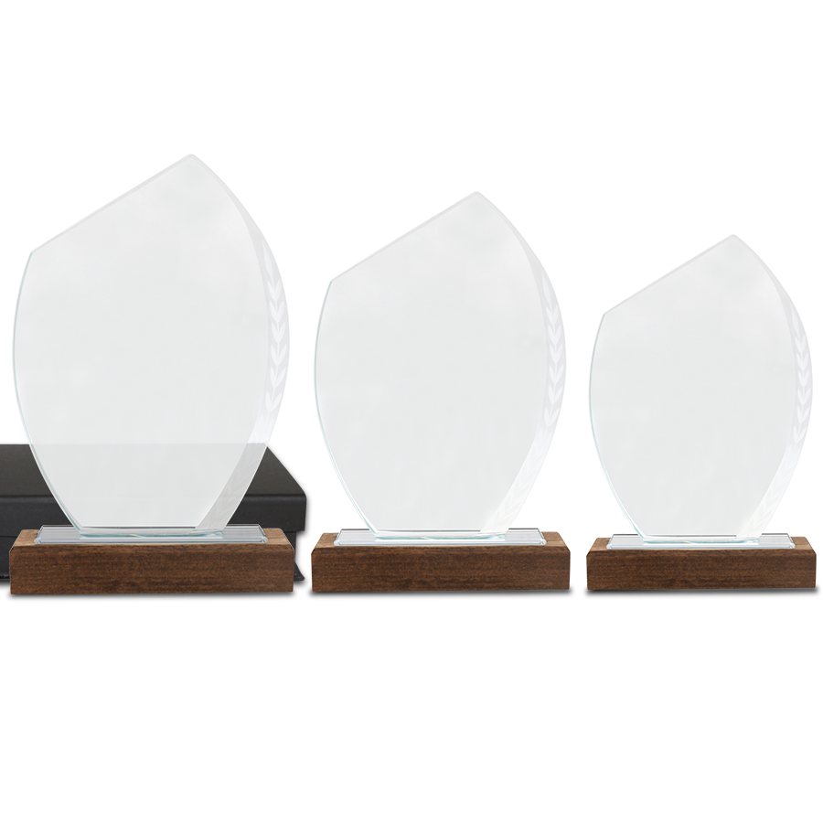 Trophée Spécial Vainqueur B